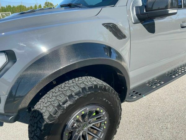 2020 Ford F-150 Raptor - Image 12